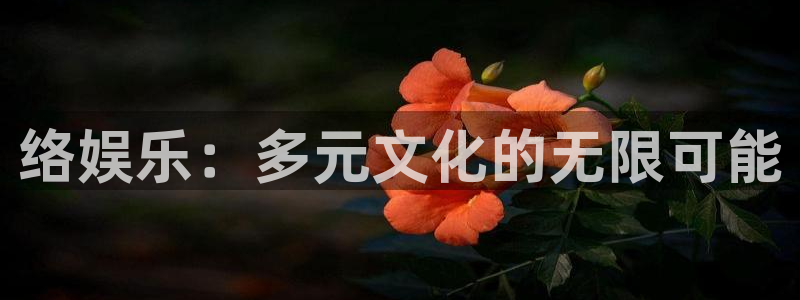 bg大游：络娱乐：多元文化的无限可能