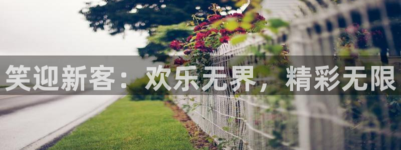 bg大游娱乐官网：笑迎新客：欢乐无界，精彩无限