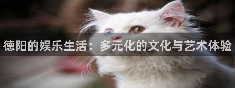 bg大游官网：德阳的娱乐生活：多元化的文化与艺术体验