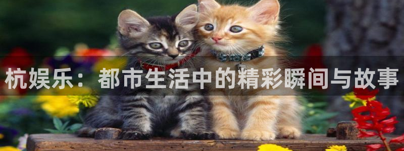 bg大游官方网站：杭娱乐：都市生活中的精彩瞬间与故事