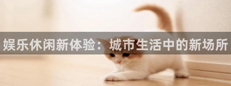 bg大游：娱乐休闲新体验：城市生活中的新场所