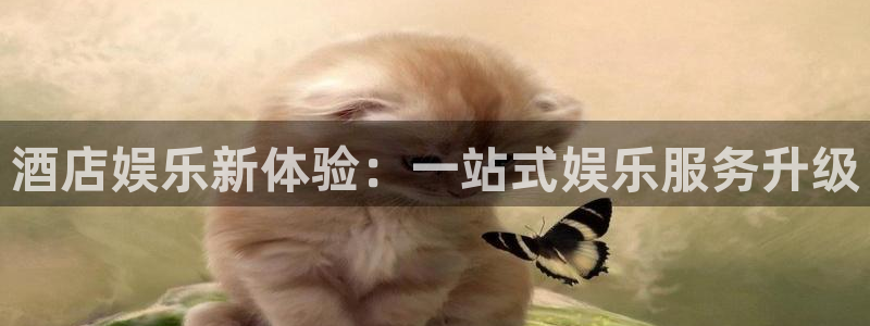 bg大游平台：酒店娱乐新体验：一站式娱乐服务升级