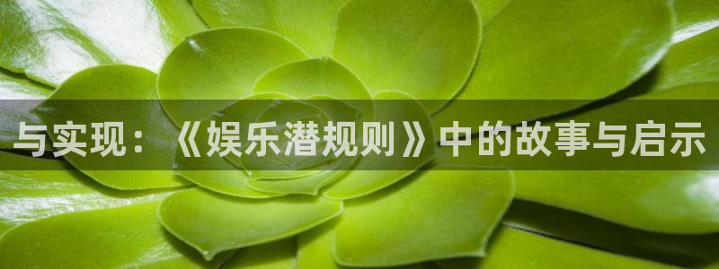 bg大游官方网站：与实现：《娱乐潜规则》中的故事与启示