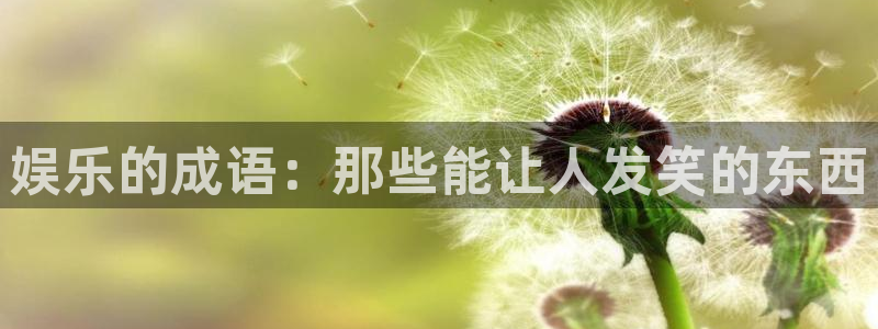 bg大游：娱乐的成语：那些能让人发笑的东西