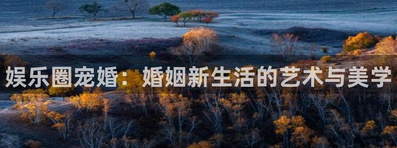 bg大游：娱乐圈宠婚：婚姻新生活的艺术与美学