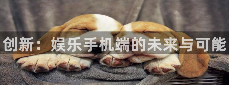 bg大游娱乐：创新：娱乐手机端的未来与可能