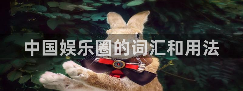 bg大游娱乐：中国娱乐圈的词汇和用法